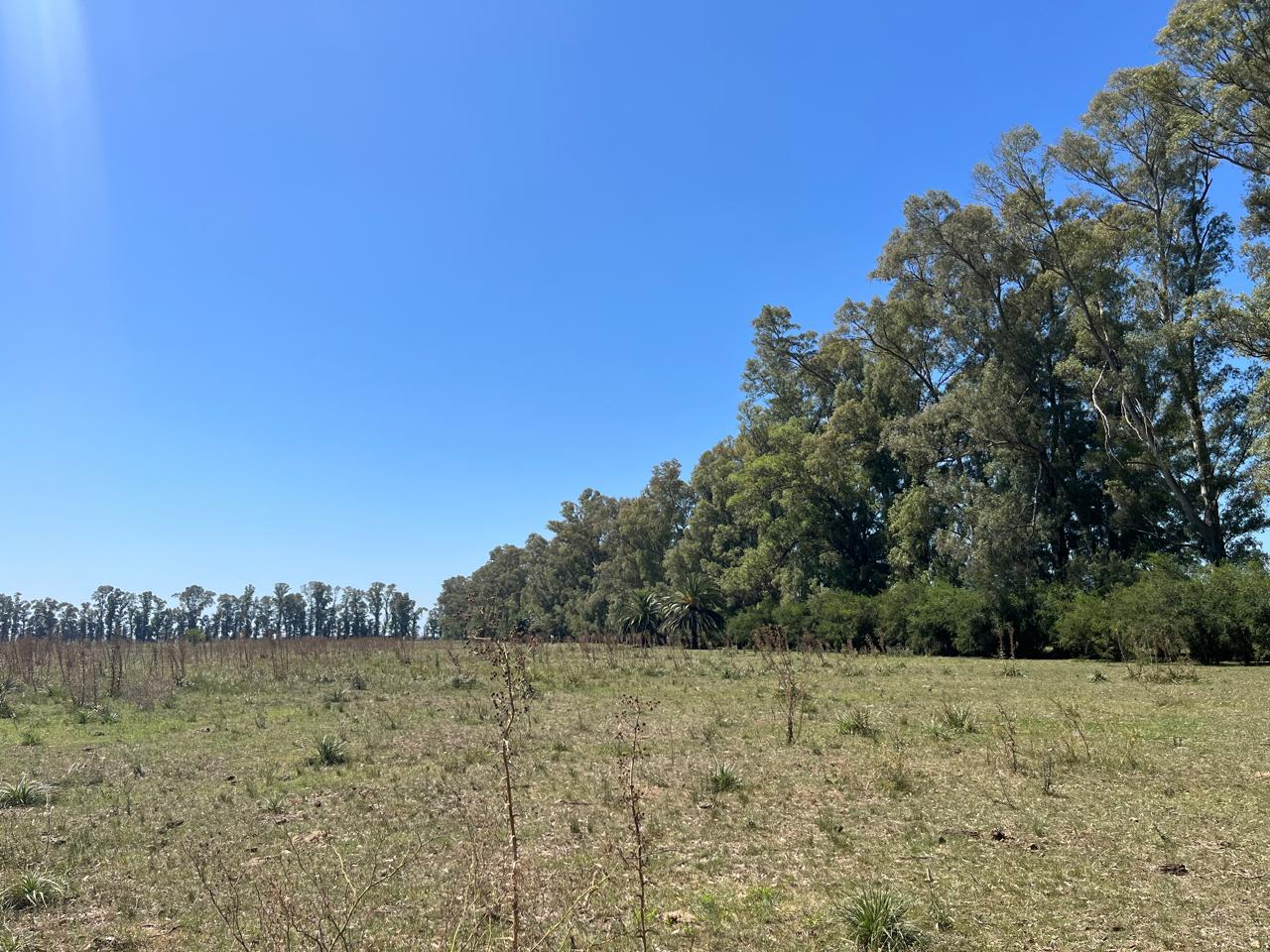 Imagen 1 de EXCELENTE OPORTUNIDAD Lotes en venta – Altos de Plomer