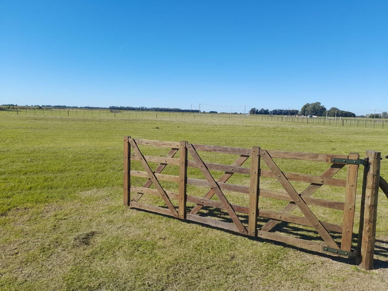 Tu refugio familiar en la naturaleza: Espectacular lote de 5600m² en "Chacras del 28"