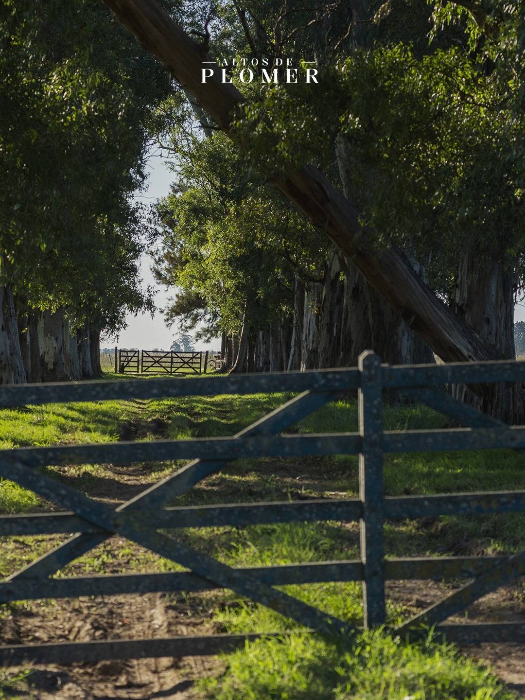 Altos de Plomer - EXCELENTE OPORTUNIDAD Lotes en venta –