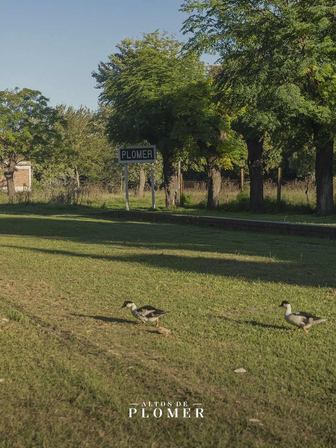 Altos de Plomer - EXCELENTE OPORTUNIDAD Lotes en venta –